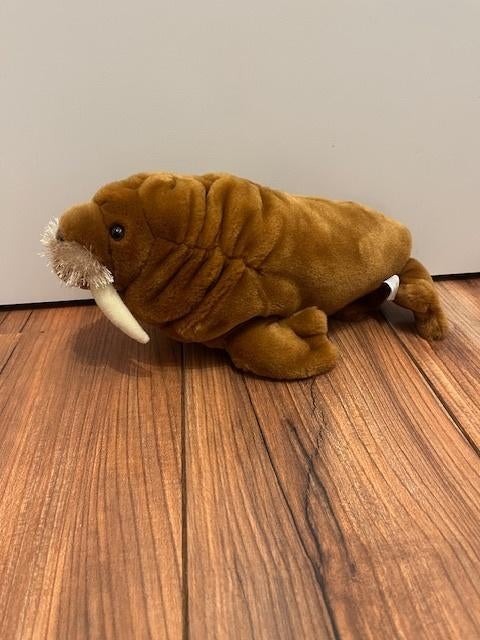 Dolfinarium Walrus pluche knuffel nieuw 31CM, Ophalen of Verzenden, Nieuw, Overige typen