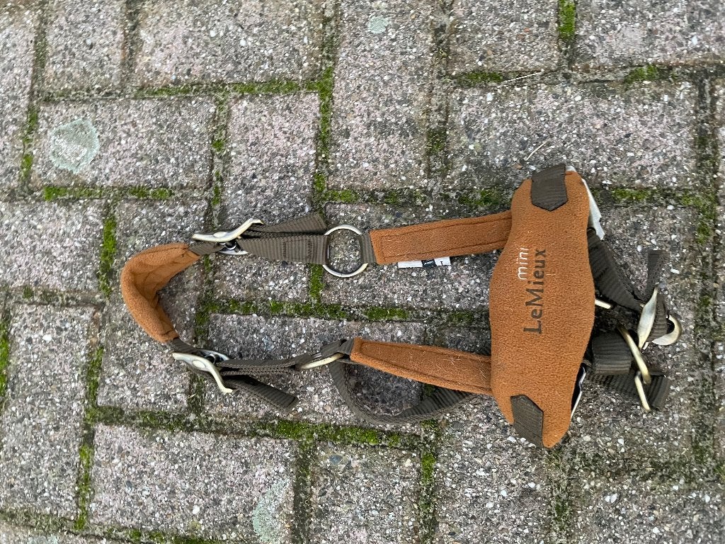 Mini Lemieux halster zg nieuw, Ophalen of Verzenden, Nieuw