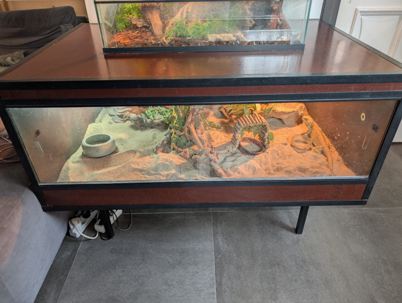 Groot terrarium 120x80x50 met baardagaam, Ophalen, Zo goed als nieuw