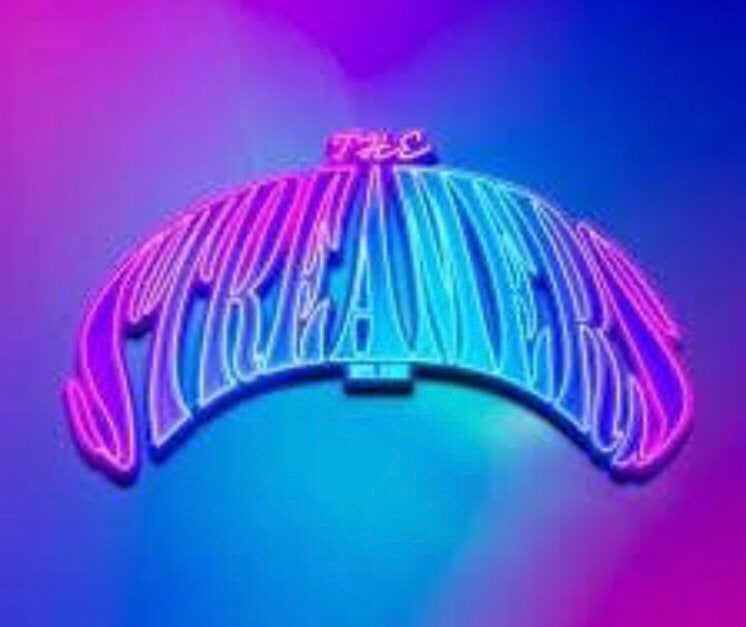 Gevraagd 1 kaart the Streamers 18 september staanplaats, Tickets en Kaartjes, Eén persoon