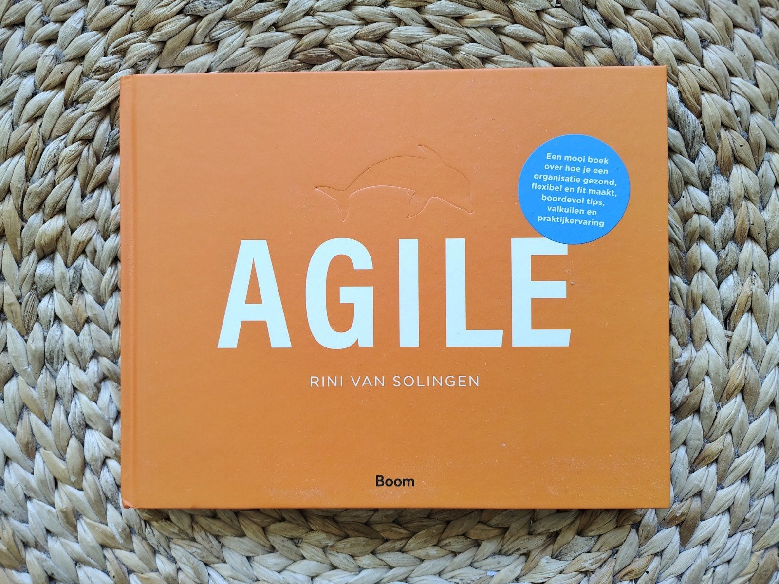 Rini van Solingen - Agile, Ophalen of Verzenden, Zo goed als nieuw, Management