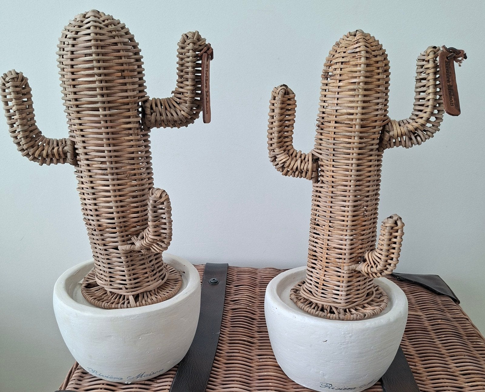Riviera maison rattan cactussen, Ophalen, Zo goed als nieuw, Bruin, Natuurlijk materiaal