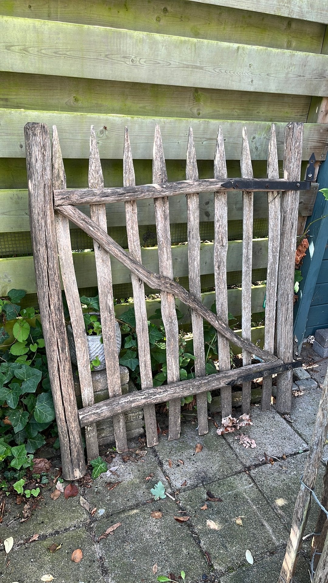 Compleet kastanje schapenhek, poort en palen., Ophalen, Met poort, Gebruikt, Tuinhek