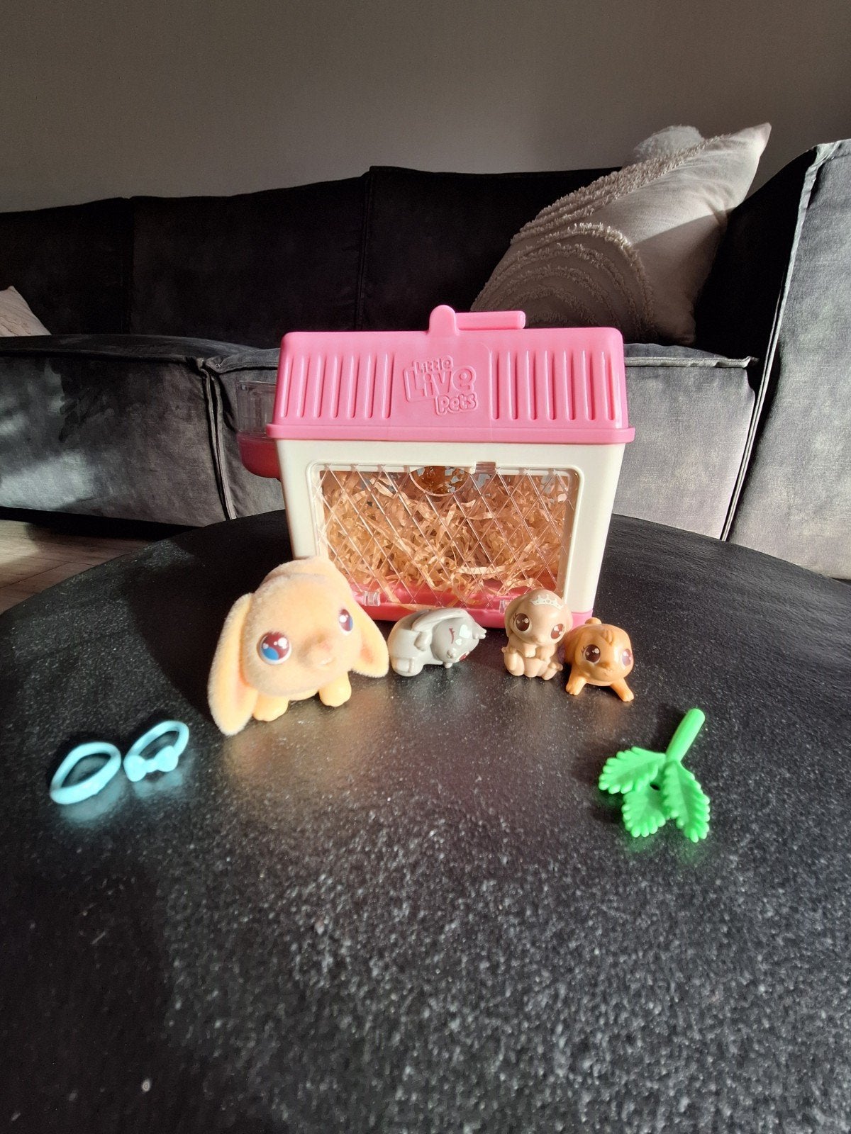 little live petskonijntjes, Ophalen of Verzenden, Zo goed als nieuw