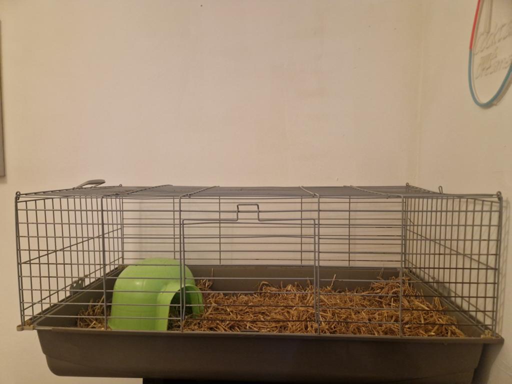 Mooie ruime konijnen/hamster/kavia hok ,,, Ophalen