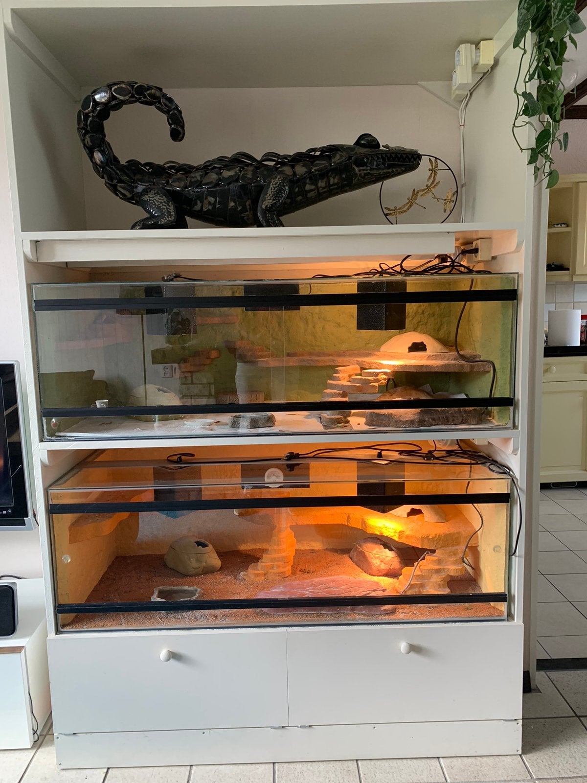 Grote terrariumkast met 2 terrariums, Dieren en Toebehoren, Ophalen, Gebruikt