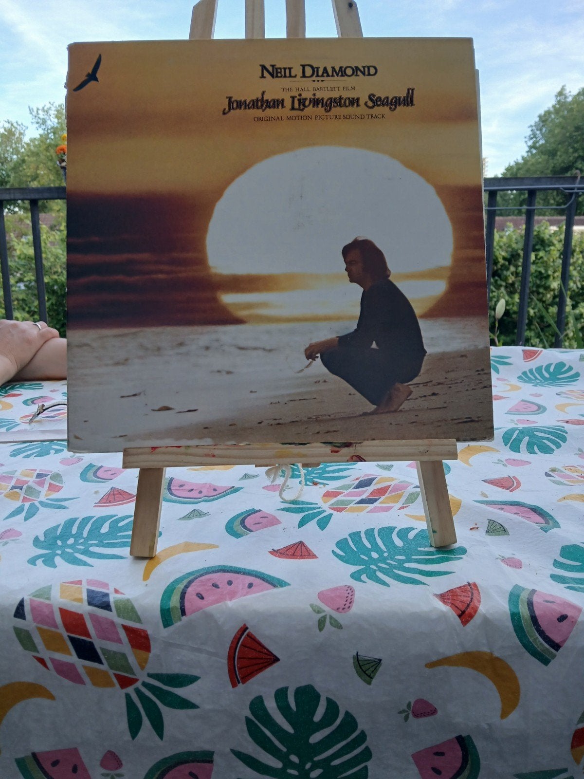 Neil Diamond - Jonathan Livingston Seagull LP, Ophalen of Verzenden, 1970 - 1979, Gebruikt, 12 inch