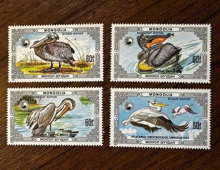 Mongolië postzegels vogels pelikanen postfris, Ophalen of Verzenden, Postfris, Oost-Azië