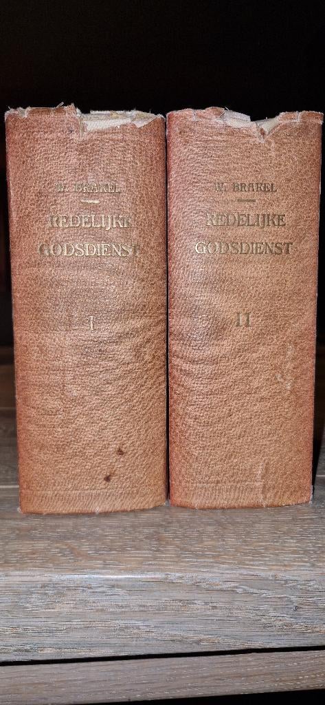 Redelijke Godsdienst, W. Brakel 1855, Gelezen, Christendom | Protestants, Ophalen of Verzenden, W Brakel