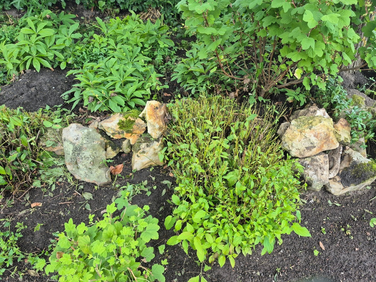Gratis af te halen: Rotsen/stenen voor de tuin, Tuin en Terras, Ophalen, Gebruikt, Multi, Kei