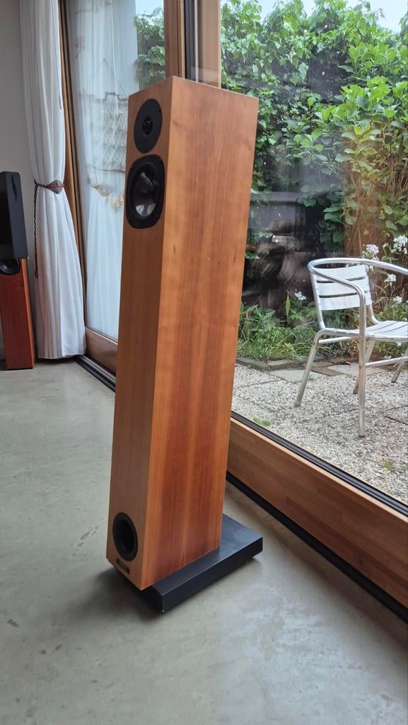 Audio Physic Spark 2, Gebruikt, 60 tot 120 watt, Front, Rear of Stereo speakers, Ophalen