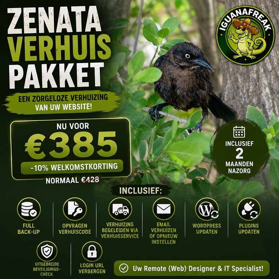 WordPress Websites en Webshops voor Startende Ondernemers, Website Bouw