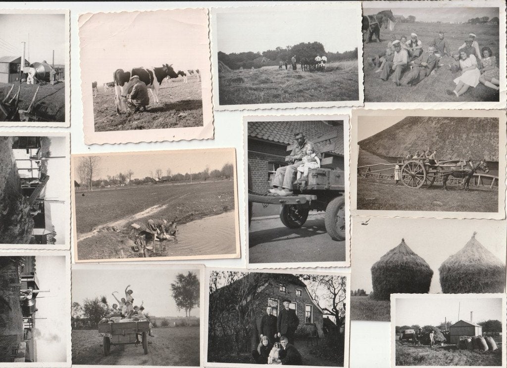 13 oude kleine foto's boerderij- en landleven melken kar enz, Verzamelen, Gebruikt, Verzenden, Foto, Voor 1940