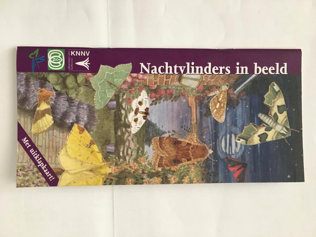 Nachtvlinders in beeld, Ophalen of Verzenden, Nieuw, Natuur algemeen