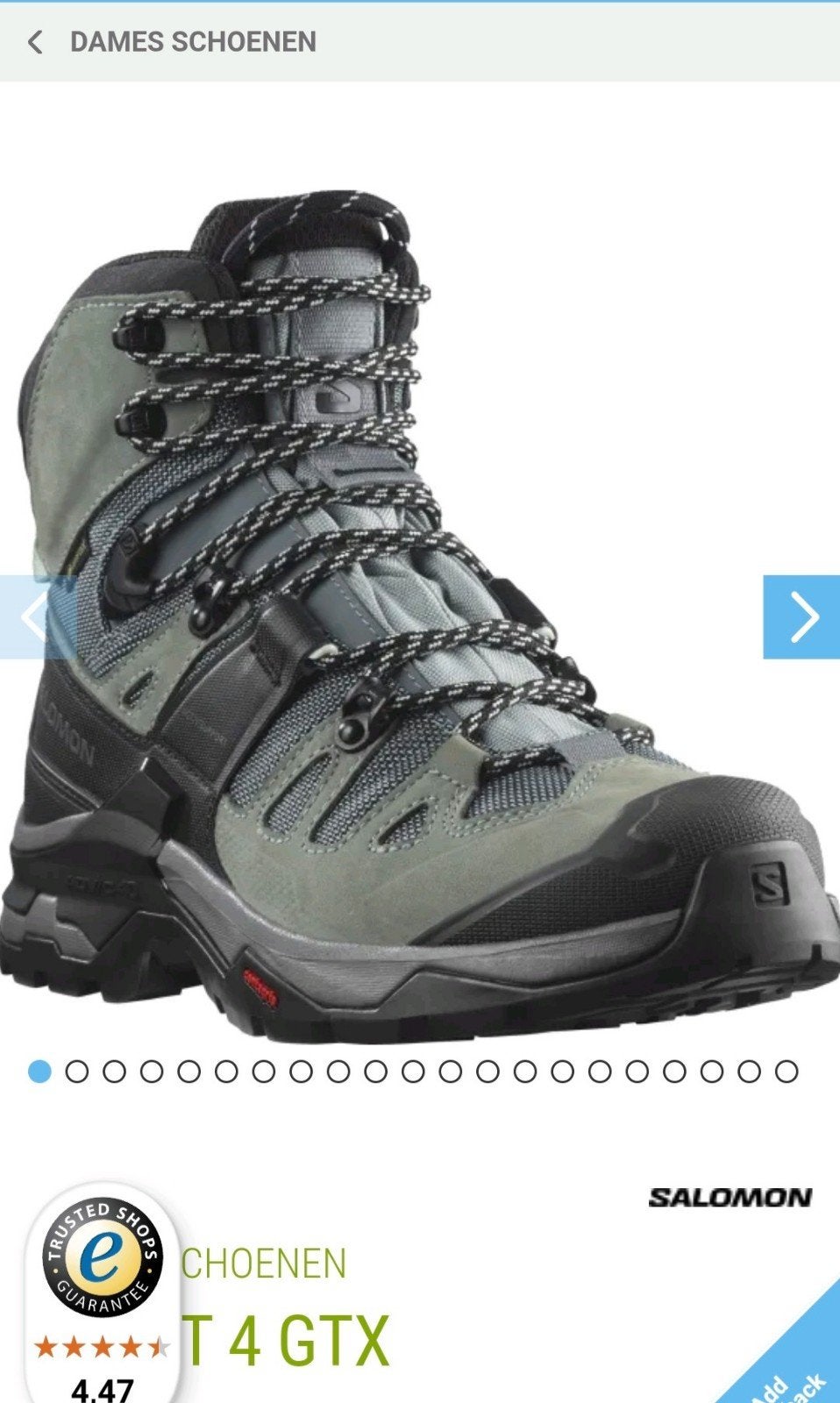 Salomon Quest 4 GTX Dames Wandelschoen maat UK 6,5 / maat 40, Ophalen of Verzenden, Zo goed als nieuw, Schoenen