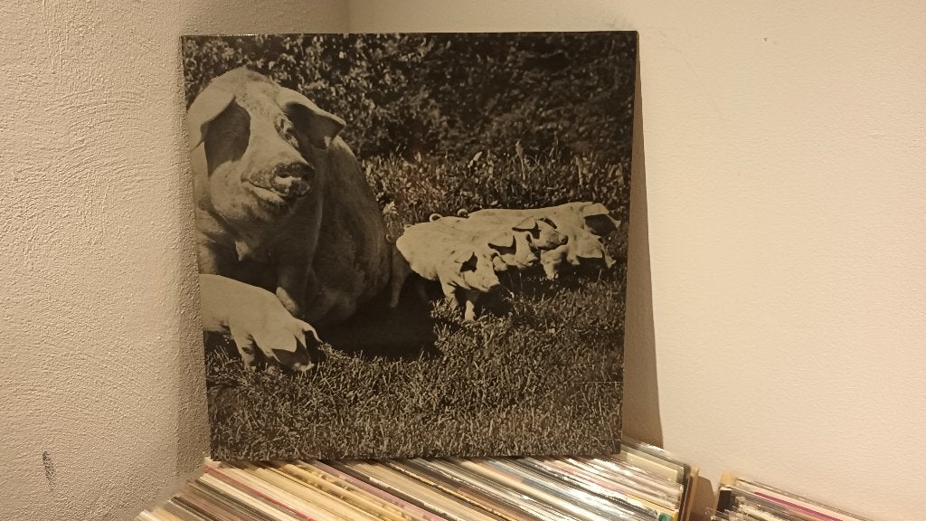 LP van PINK FLOYD, best of tour 1972, LP, Gebruikt, Ophalen of Verzenden, 12 inch