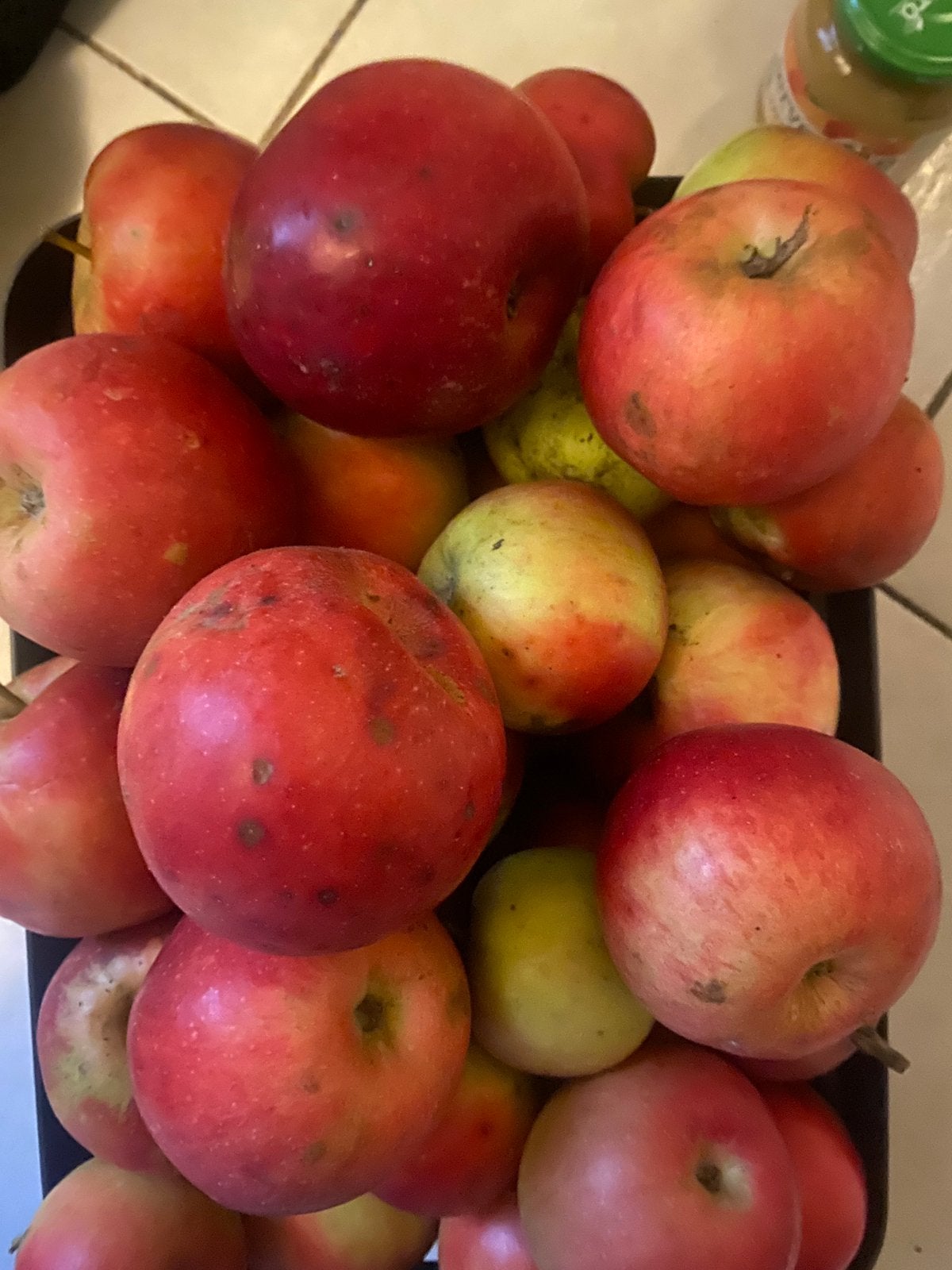 Onbespoten biologische apples, Ophalen