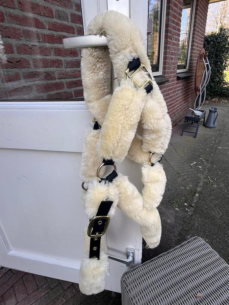 Te koop halster bont Kentucky, Ophalen of Verzenden, Overige soorten