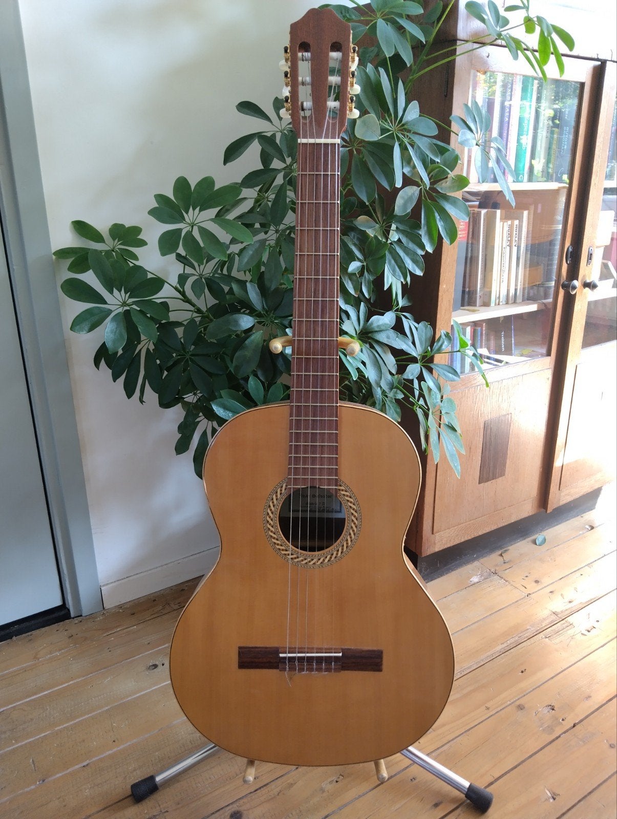 Modelo 7A Juan Salvador klassieke gitaar, spaanse walnoot, Muziek en Instrumenten, Ophalen of Verzenden, Zo goed als nieuw, Klassieke of Spaanse gitaar