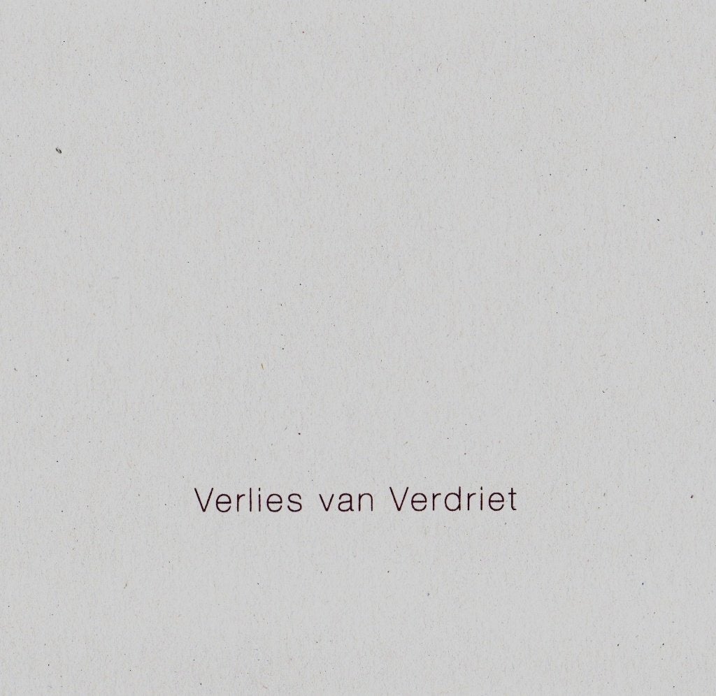 Verlies van Verdriet - Rosa van Hofwegen / 9789081517515, Klinische psychologie, Ophalen of Verzenden, Zo goed als nieuw, Rosa van Hofwegen