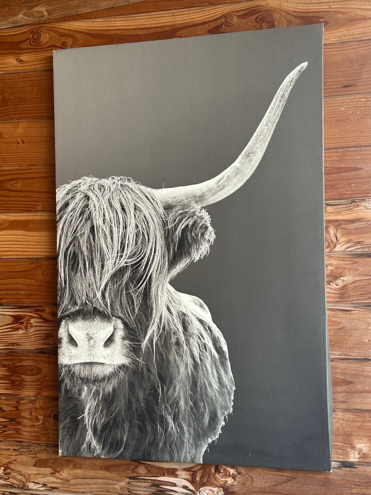 Canvas Schotse Hooglander - L 115 cm x br 75 cm, Huis en Inrichting, Woonaccessoires | Schilderijen, Tekeningen en Foto's, Ophalen