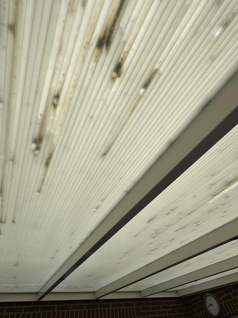 Gebruikte Veranda met Polycarbonaat Dak, Tuin en Terras, Overkappingen, Ophalen, Gebruikt, Veranda