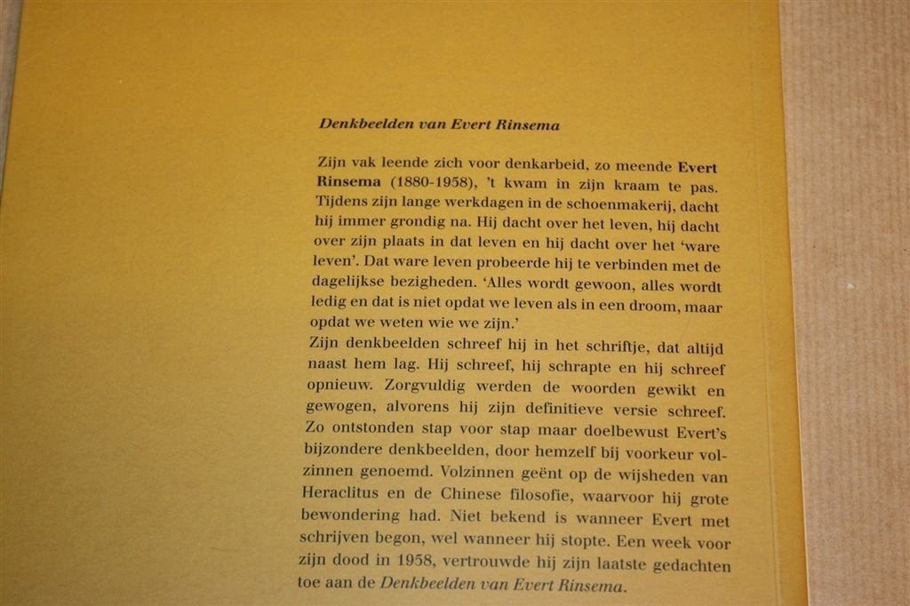 Denkbeelden van Evert Rinsema — Volzinnen van een Filosoof, Boeken, Geschiedenis | Stad en Regio, Ophalen of Verzenden, Zo goed als nieuw