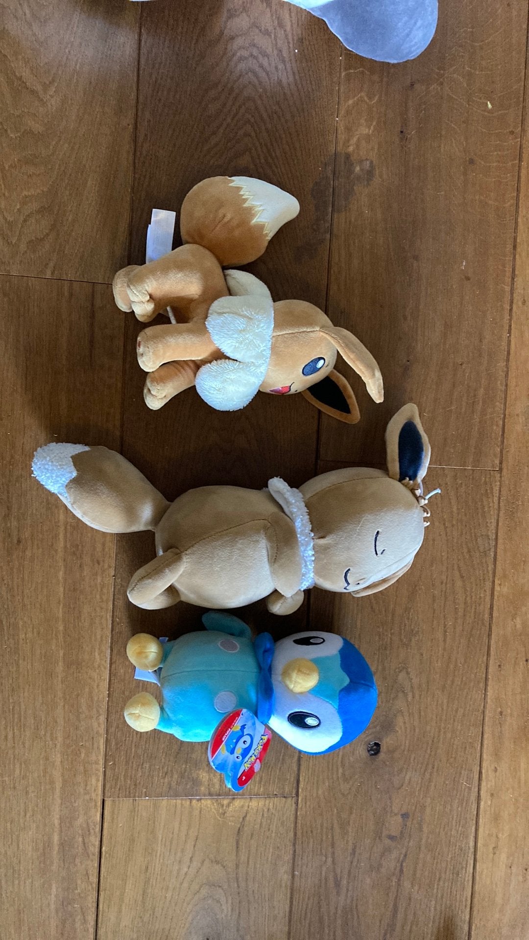 Pokemon knuffels, Ophalen of Verzenden, Zo goed als nieuw, Overige typen