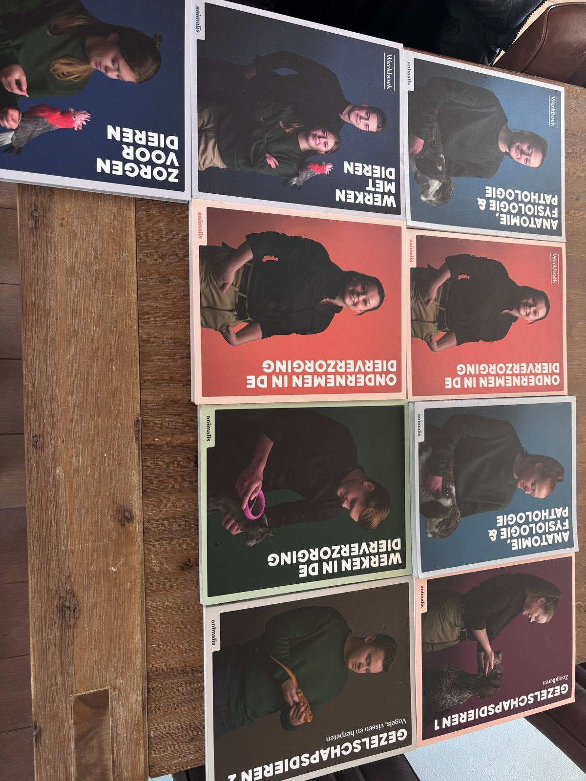 Mbo 3 Dierverzorging Boeken - Animalis, Boeken, Schoolboeken, Ophalen of Verzenden, Gelezen, Overige niveaus, Overige vakken
