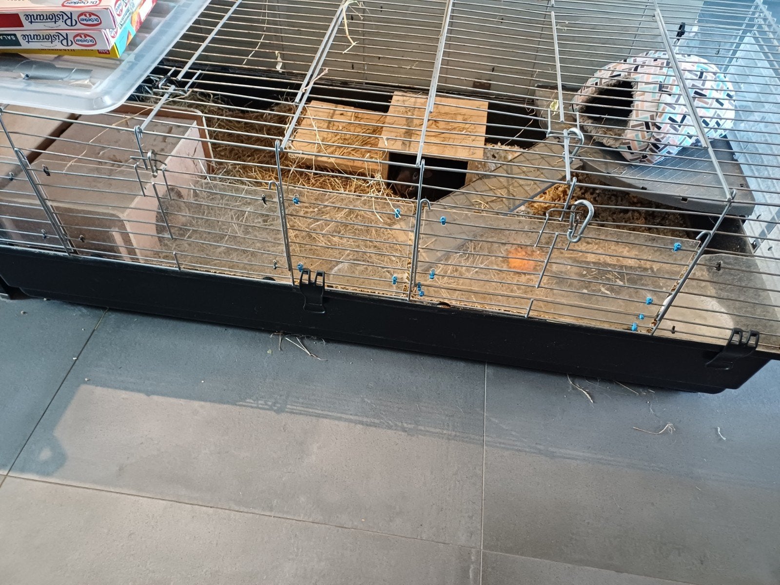 grote kooi, Dieren en Toebehoren, Kooi, 110 cm of meer, Zo goed als nieuw, Cavia
