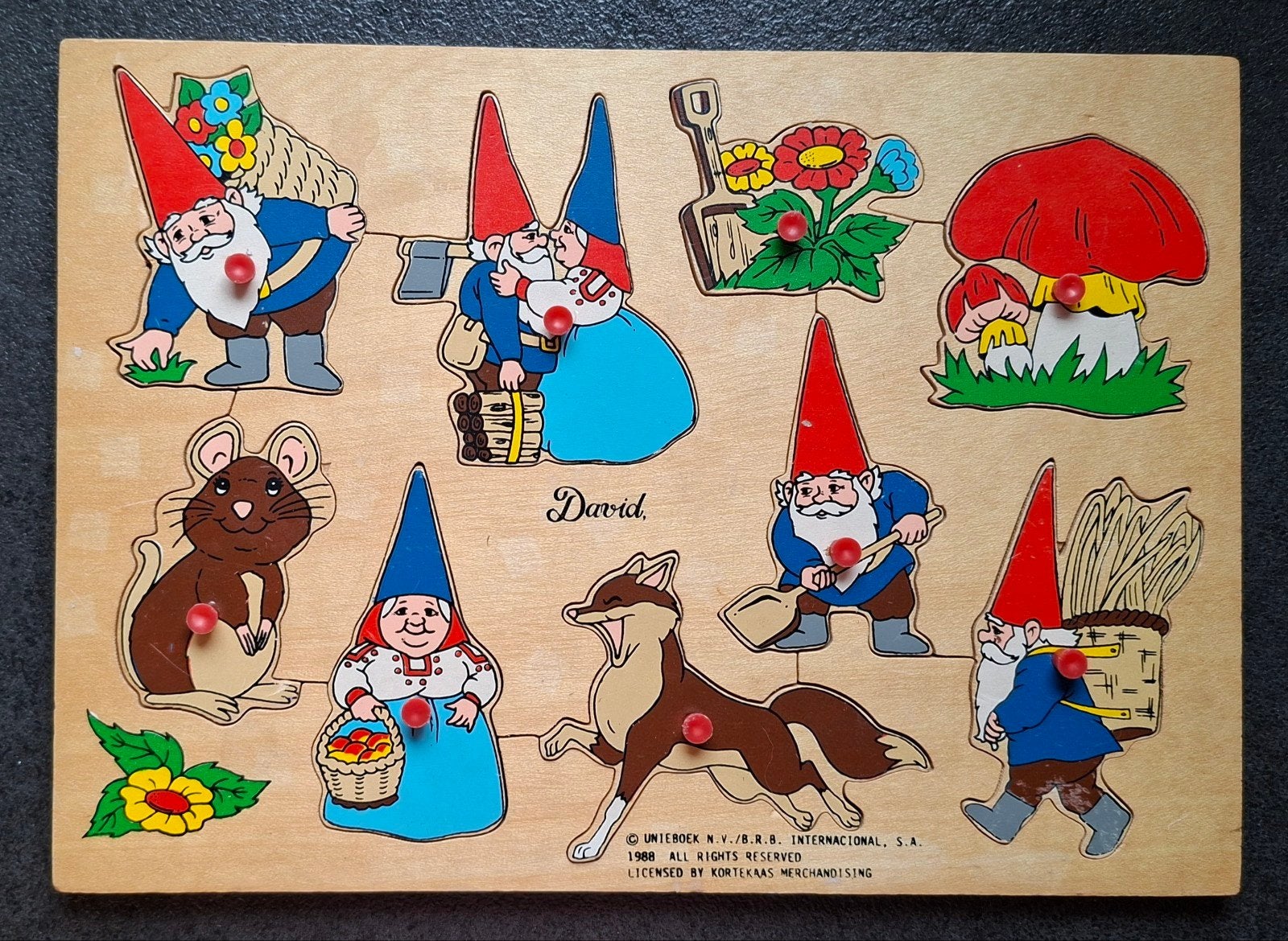David de kabouter knopjespuzzel ( Rien Poortvliet), Ophalen of Verzenden, Gebruikt, Overige typen