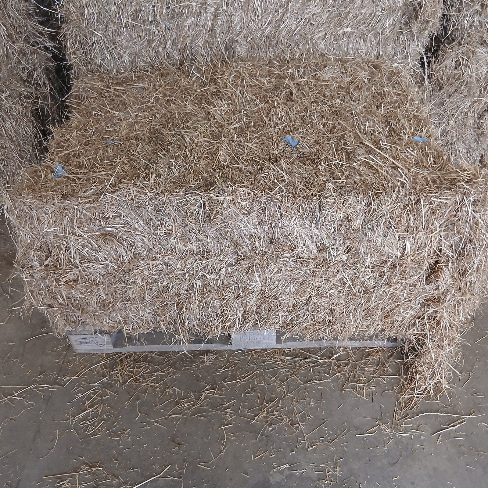 Rechthoekige midi pakken hooi, Dieren en Toebehoren, Dierenvoeding, Ophalen, Vee