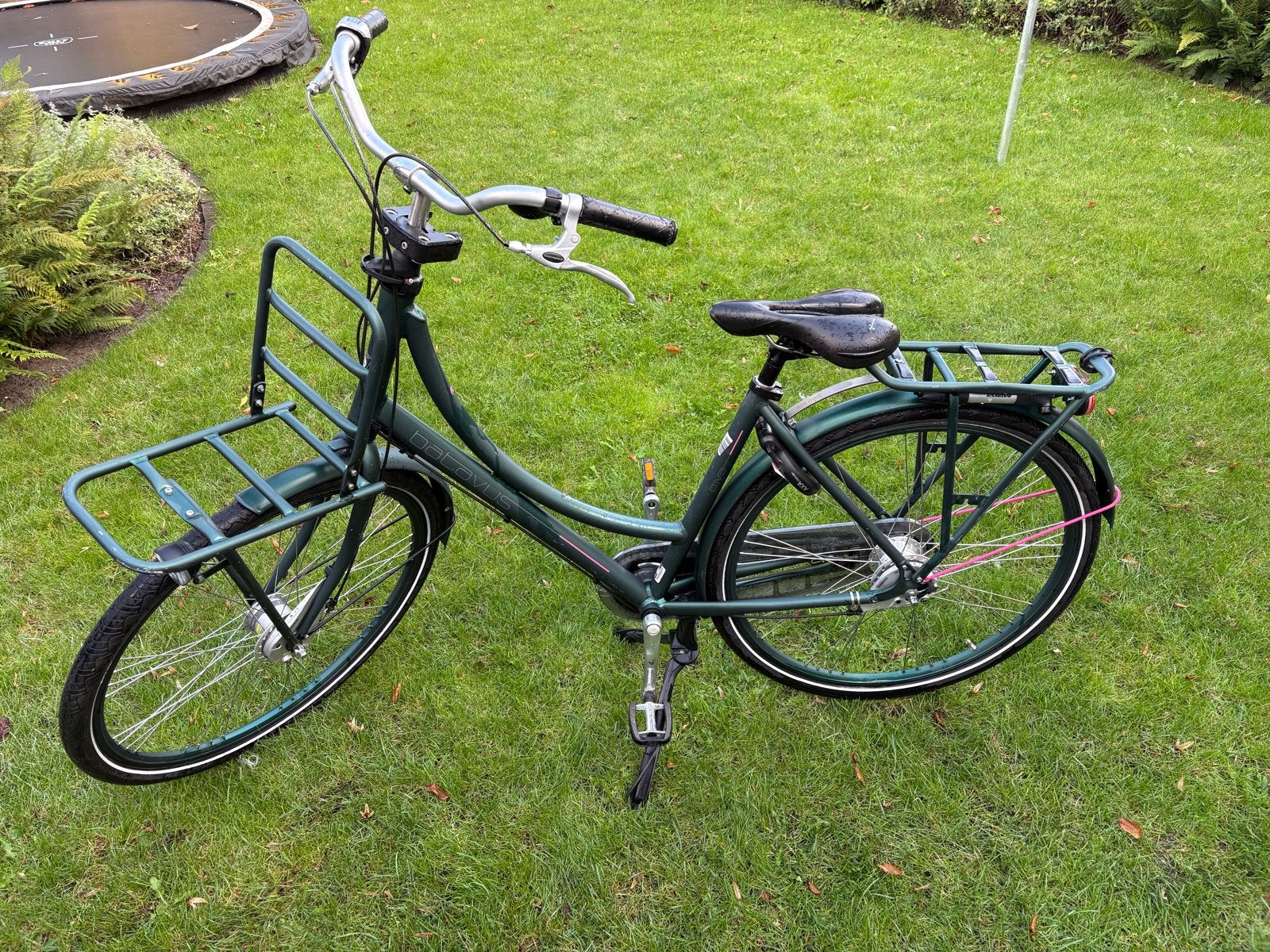 Batavus Diva Damesfiets - Framemaat 50 - unieke kleur, Ophalen, Gebruikt, Versnellingen, Batavus