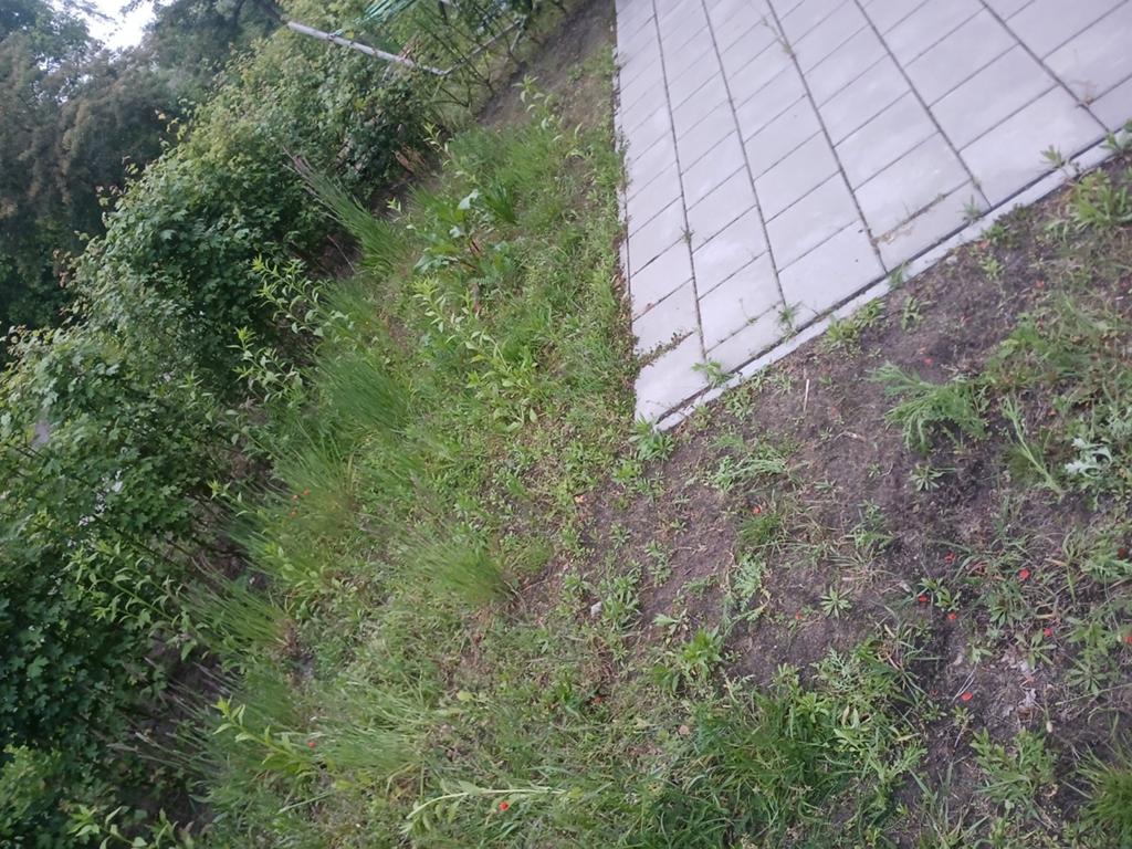 Gratis stoeptegels 30x30 nieuwe maarsbergen, Tuin en Terras, Ophalen, Beton, Terrastegels