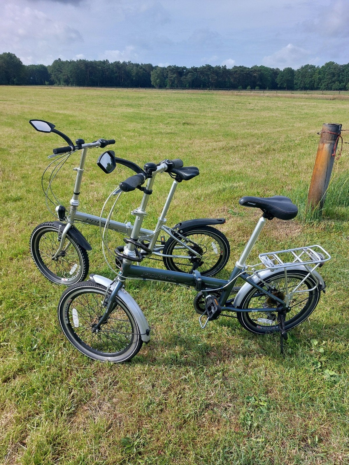 Popal F200-PRO vouwfietsen (2 stuks), Fietsen en Brommers, Fietsen | Vouwfietsen, Ophalen