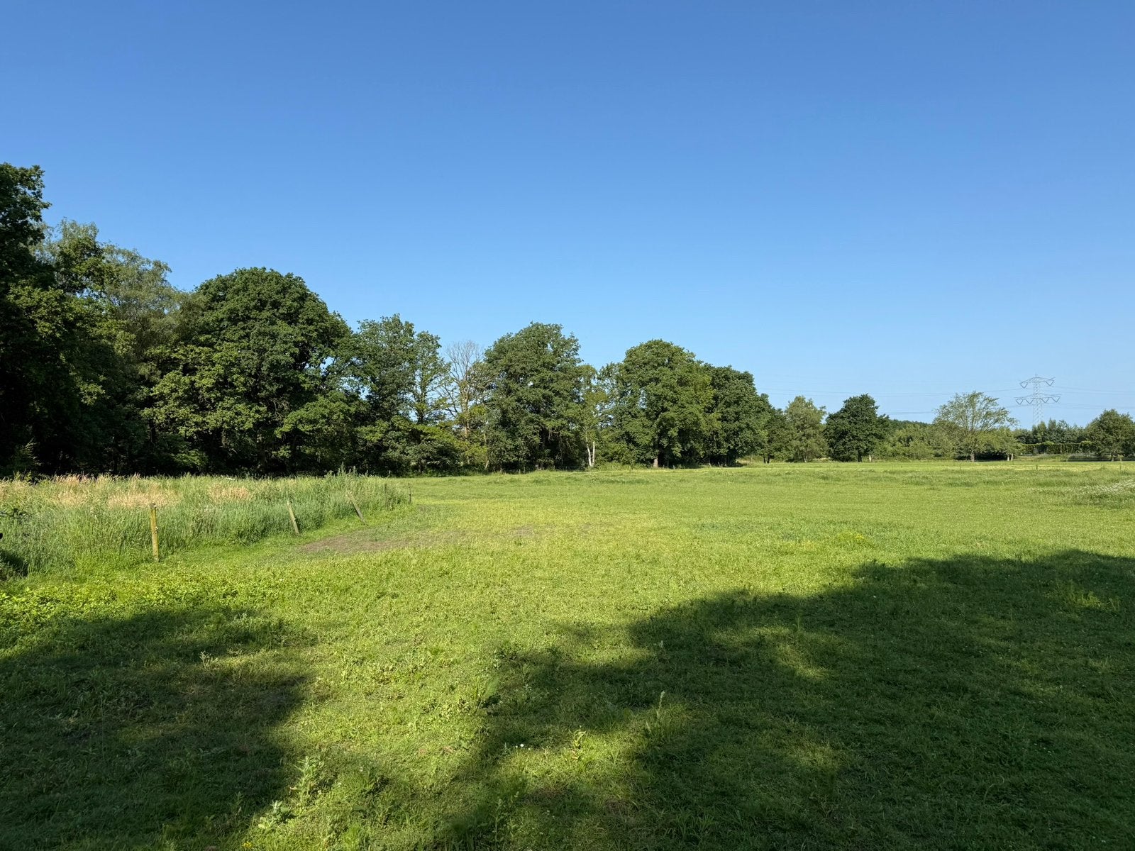 Weide te huur, Dieren en Toebehoren, Stalling en Weidegang, 4 paarden of pony's of meer