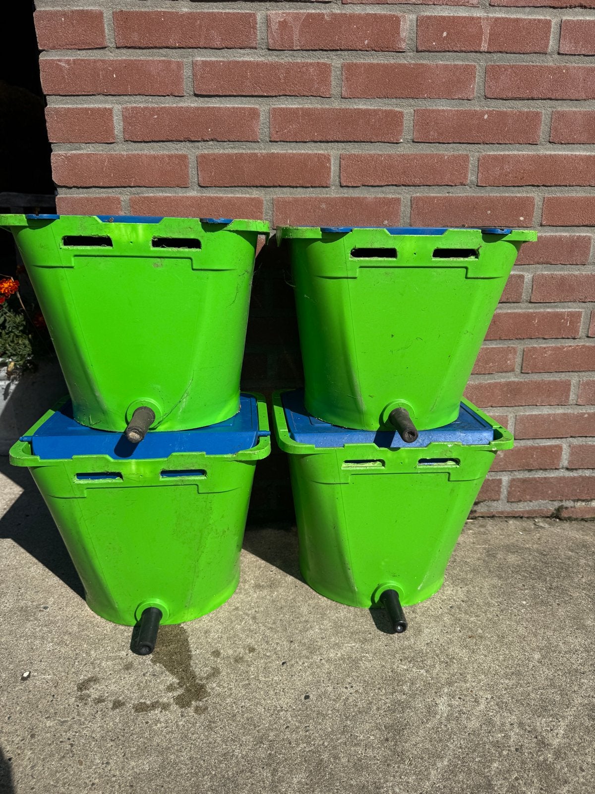 ECF1 kalver drink emmers, Dieren en Toebehoren