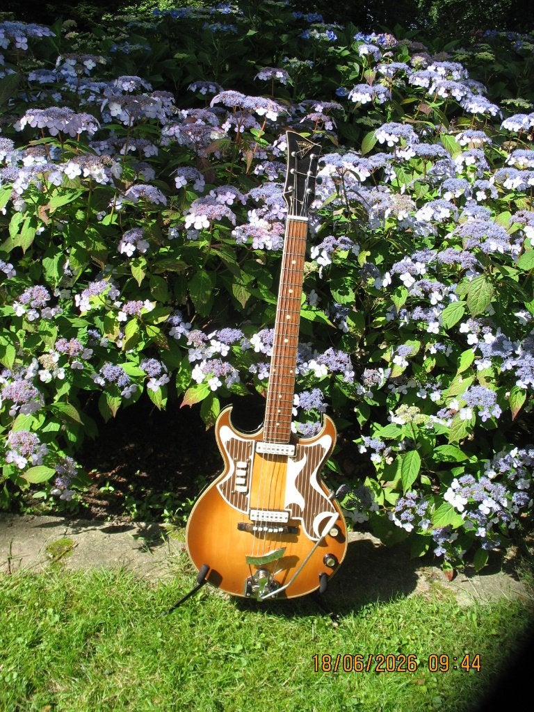 EKO Florentine360/V/2, Muziek en Instrumenten, Snaarinstrumenten | Gitaren | Elektrisch, Ophalen, Gebruikt, Semi-solid body, Overige merken