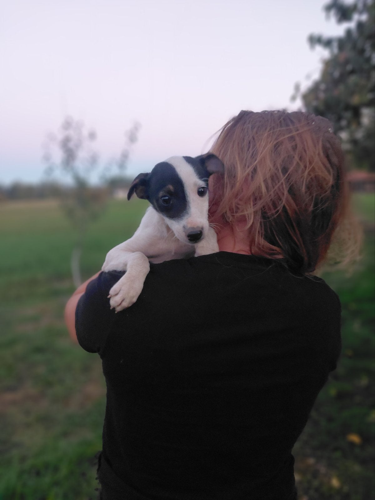 Pup zoekt nieuw huis