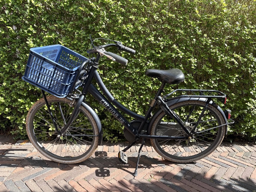 Cortina U4 Transportfiets meisjes, Ophalen, Terugtraprem, Versnellingen, Cortina