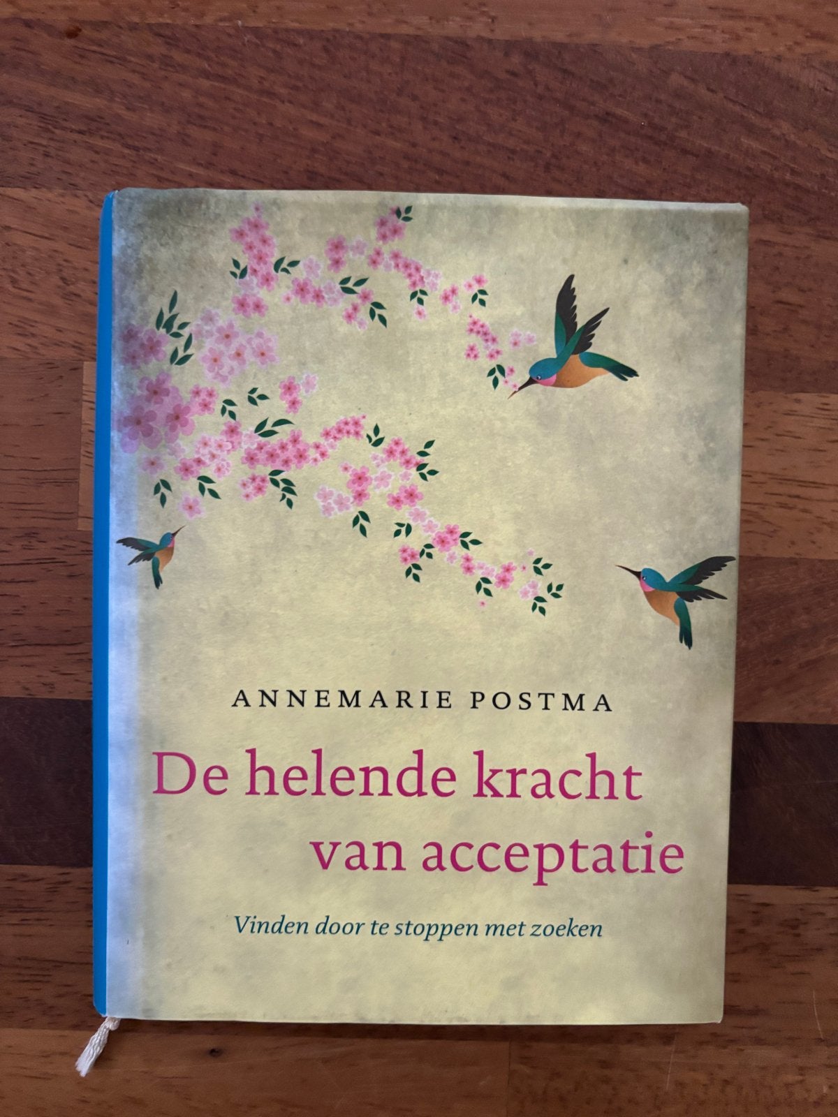 De helende kracht van acceptatie - Annemarie Postma, Ophalen of Verzenden, Zo goed als nieuw, Spiritualiteit algemeen, Achtergrond en Informatie