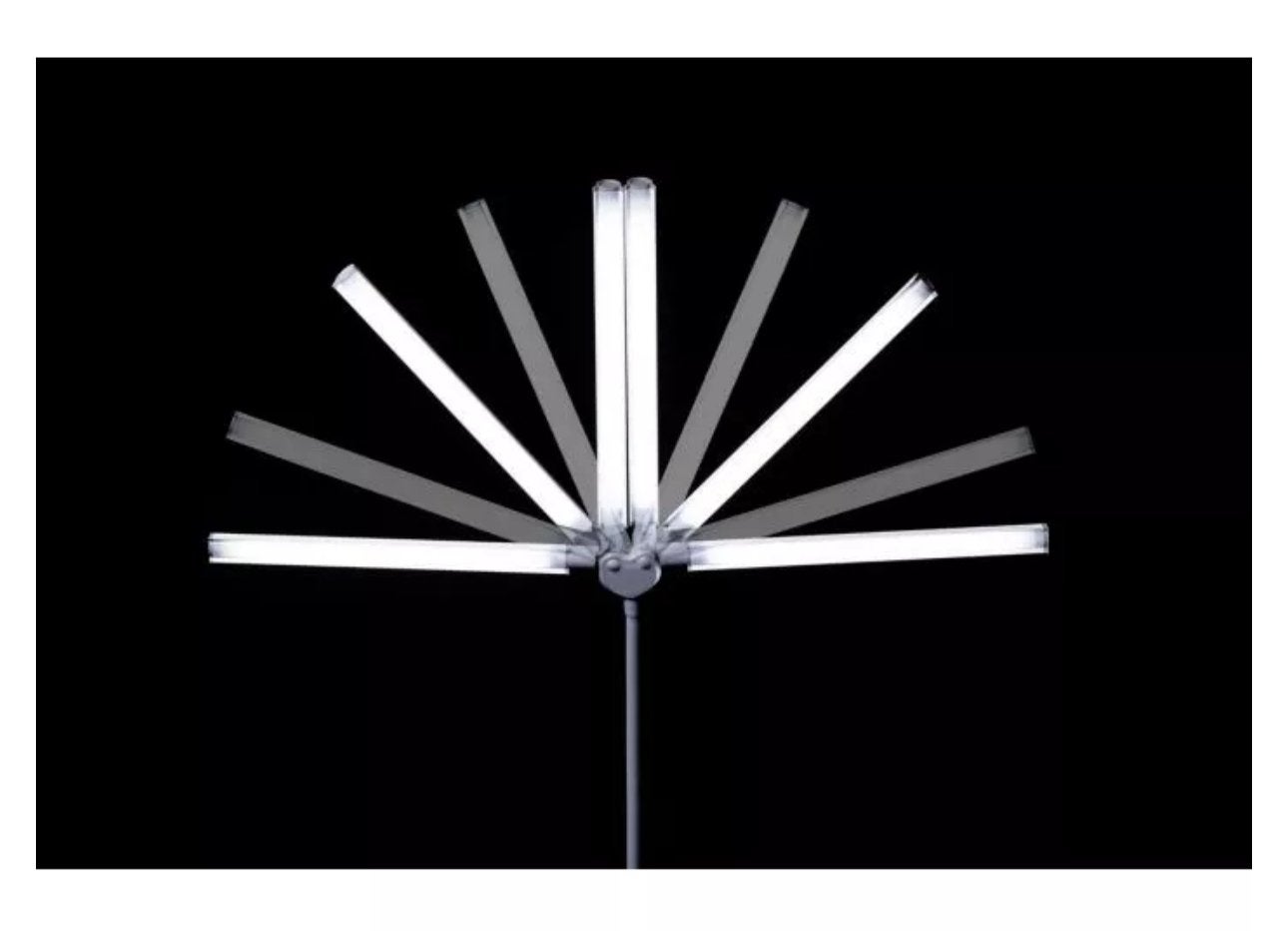 Daylight DuoPro Vloerlamp EN1560 - Professionele Verlichting, Ophalen, Zo goed als nieuw, Metaal, 150 tot 200 cm