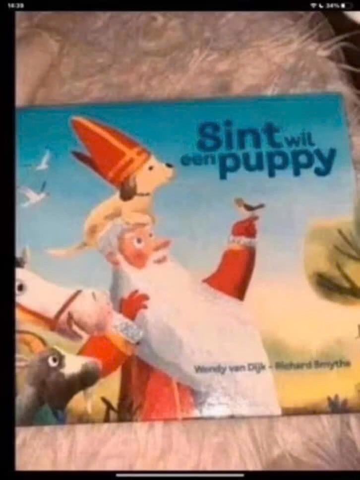 Sint wil een puppy - Prentenboek, Jongen of Meisje, Ophalen of Verzenden, Zo goed als nieuw, Voorleesboek