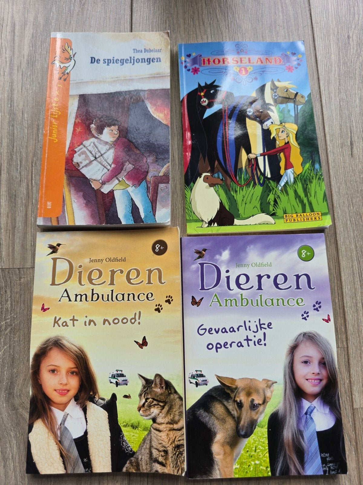 Kinderboeken: Dierenambulance, Horseland, De Spiegeljongen, Boeken, Kinderboeken | Jeugd | onder 10 jaar, Ophalen of Verzenden