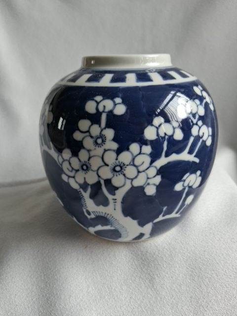 Antieke Chinese prunus gemberpot 19e eeuws, Ophalen of Verzenden