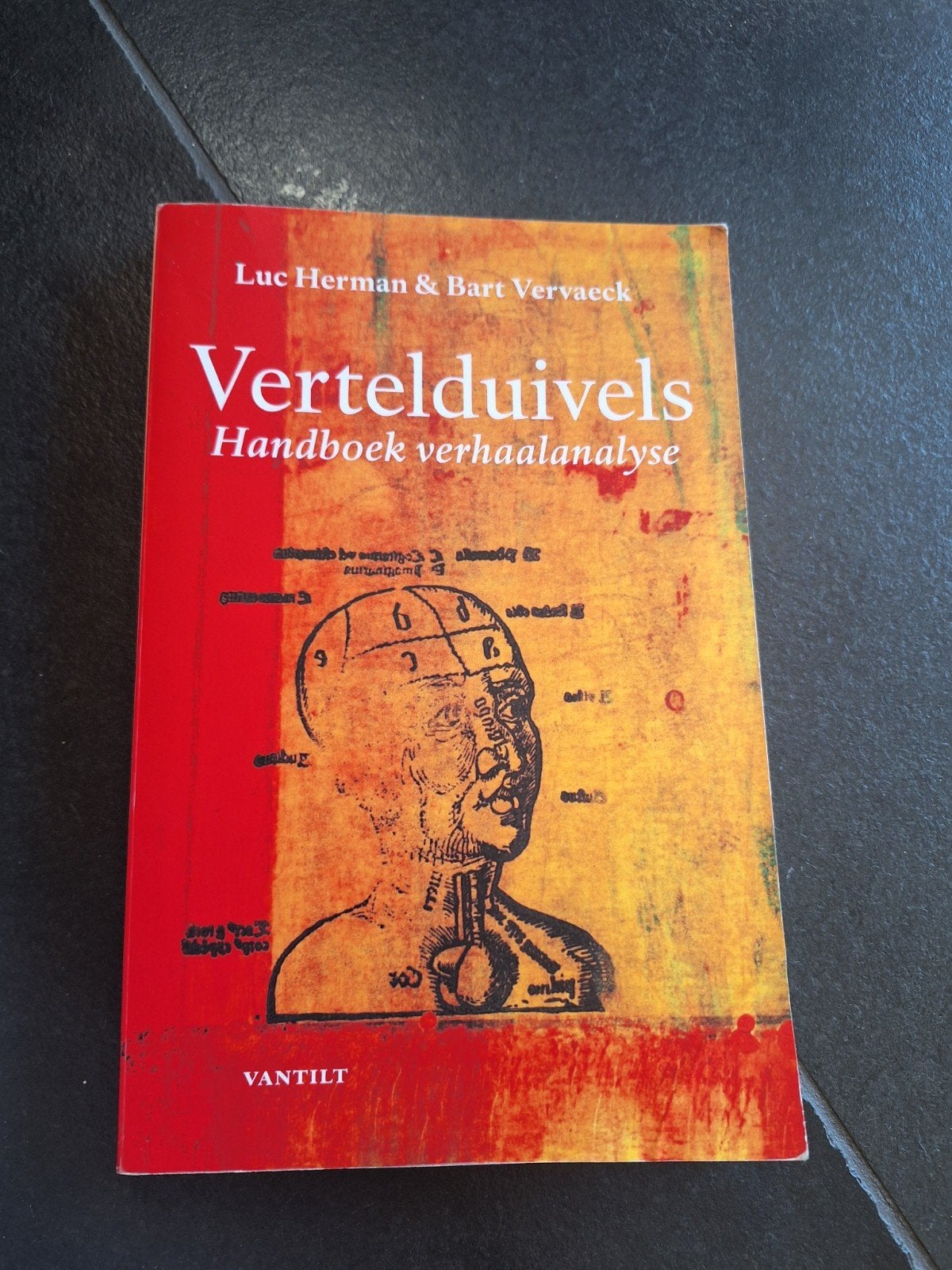 Bart Vervaeck - Vertelduivels, Bart Vervaeck; L. Herman, Sociale wetenschap, Ophalen of Verzenden, Zo goed als nieuw