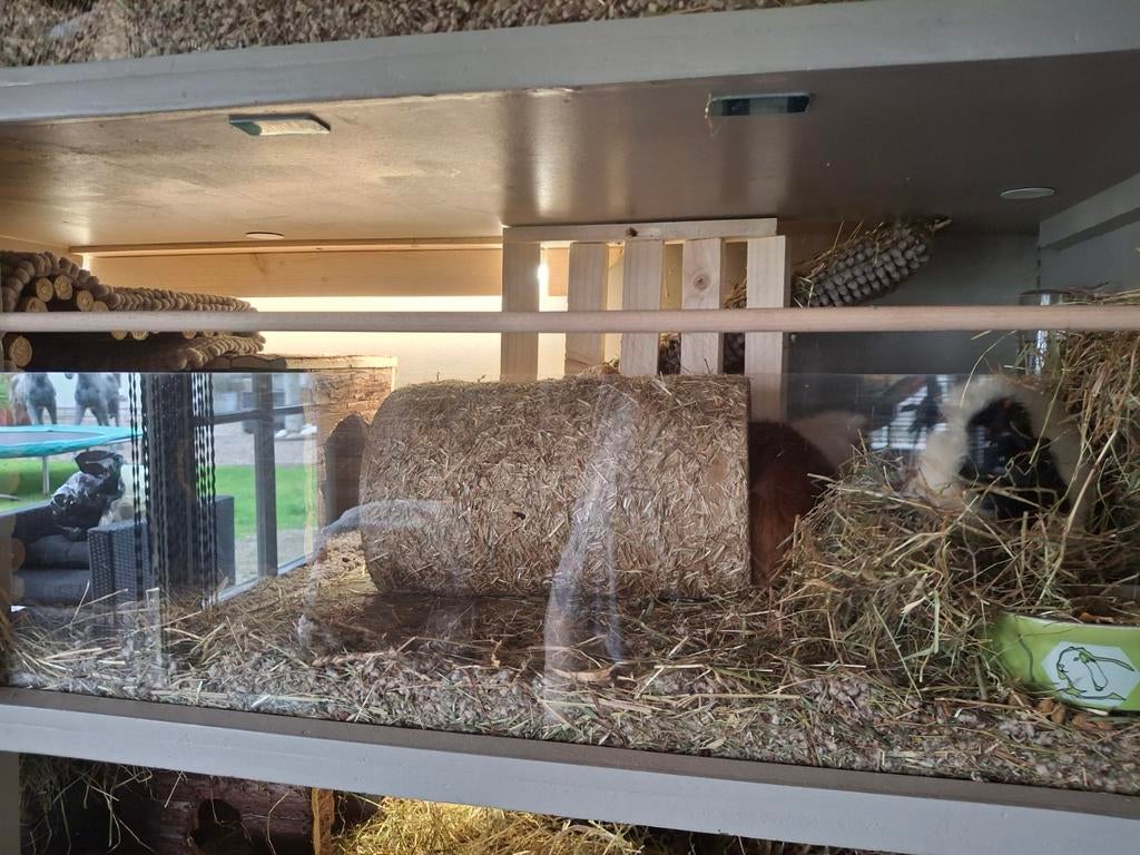 Dieren verblijf cavia flat 3 verdiepingen, Dieren en Toebehoren, Ophalen of Verzenden, Gebruikt, Cavia