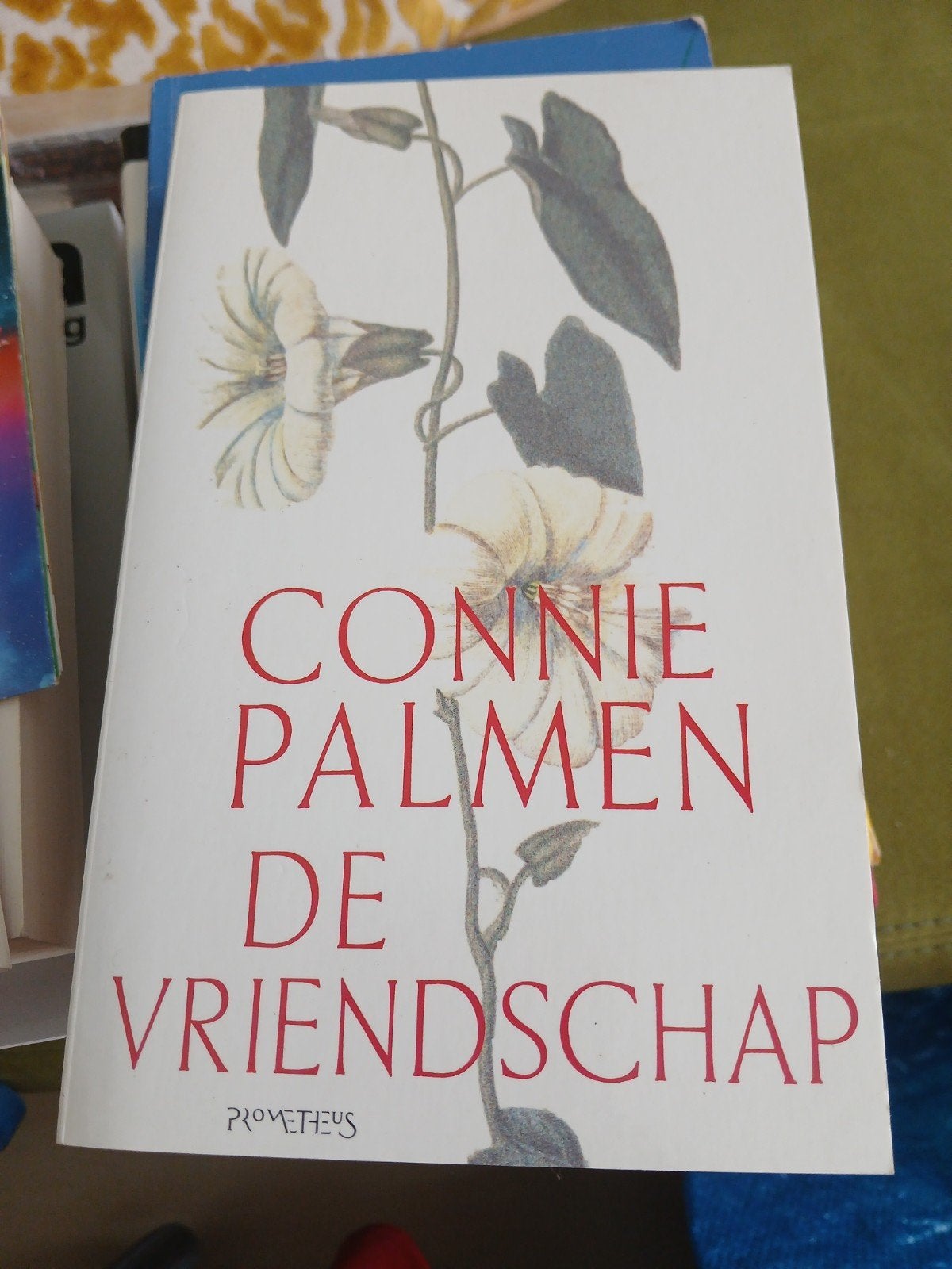 Connie Palmen - De Vriendschap (Boek), Ophalen of Verzenden, Gelezen, Connie Palmen, Nederland
