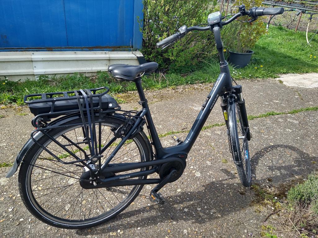 pegasus siena  elektrische fiets bosch active line plus, Zo goed als nieuw, 47 tot 51 cm, 50 km per accu of meer, Ophalen