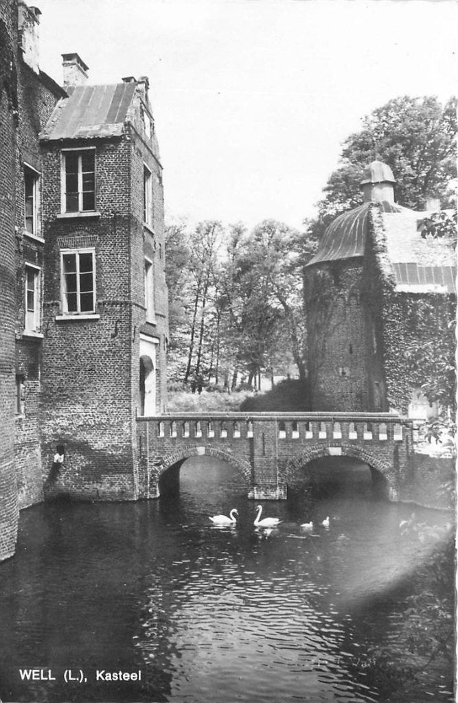 702-083-041 Well Kasteel, Verzenden, Voor 1920, Limburg